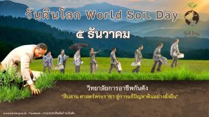5 ธันวาคม วันดินโลก(World Soil Day)